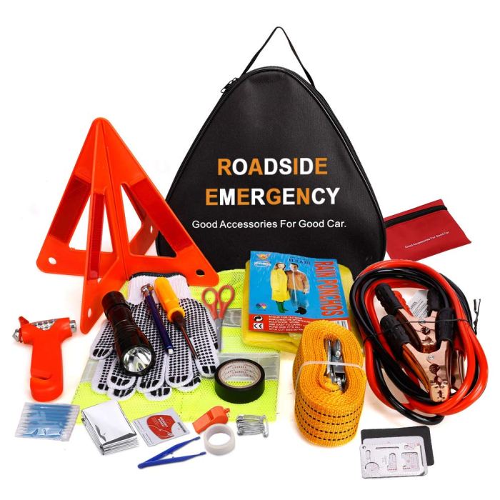 Essentials travelling pack mapleandmango packing trips carryon