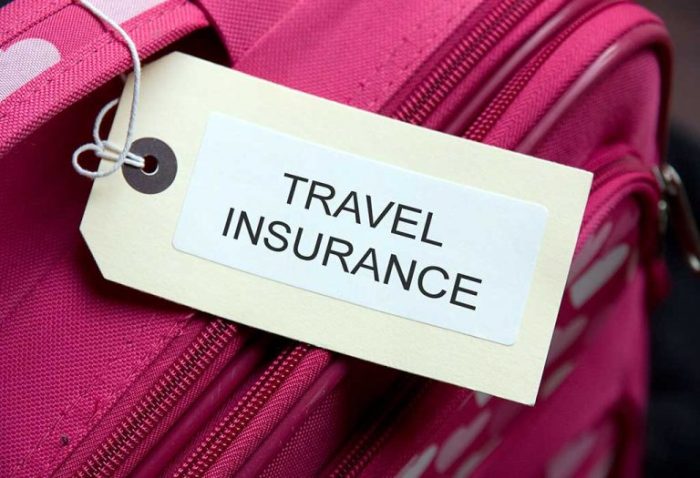 Storyteller expat options